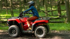 Driver on Rancher, going left in wood landscape.