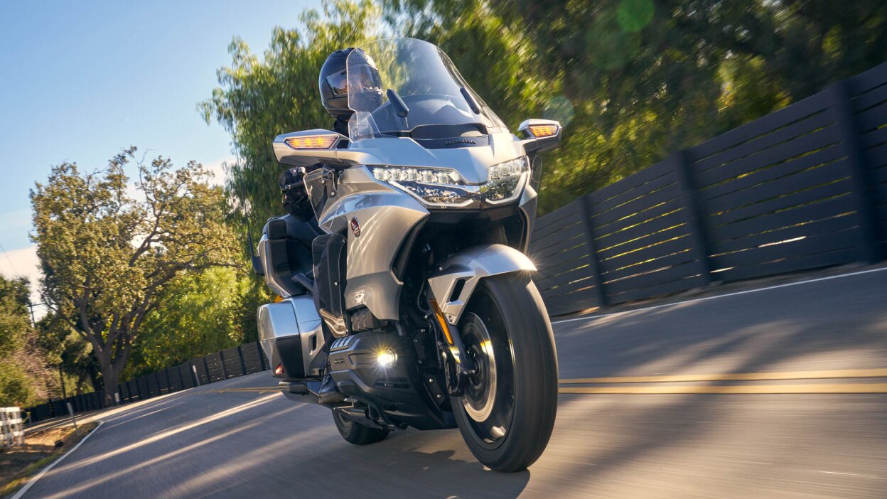 Rider on silver Gold Wing Tour, front facing. Fence and tree in background.