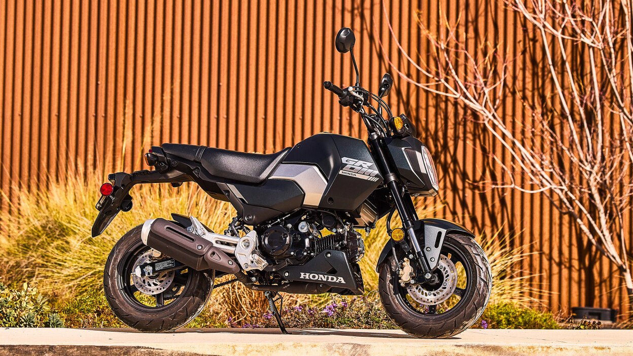 Grom stationary on side walk. Wooden pannel fence and bush in background