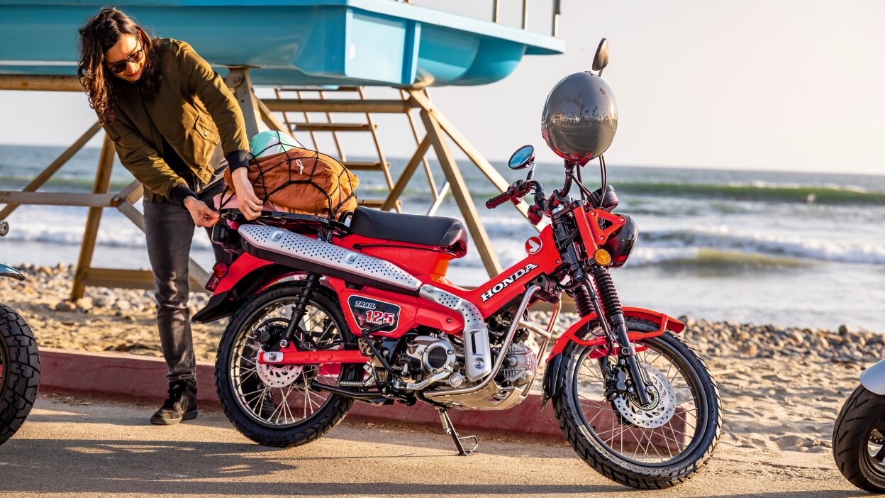 Monkey stationary on road. Beach in background.