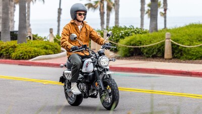 Ride on Monkey in brown jacket front facing on road. Bushes and bottom of palm trees in background.