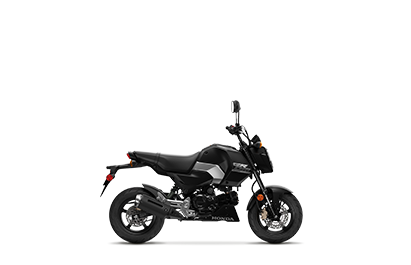 Studio image of Grom. Right angle.