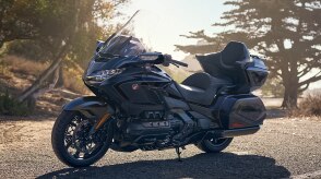 Gold Wing stationary on road, right facing. Trees in background.