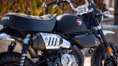 Close up of twin rear shocks.