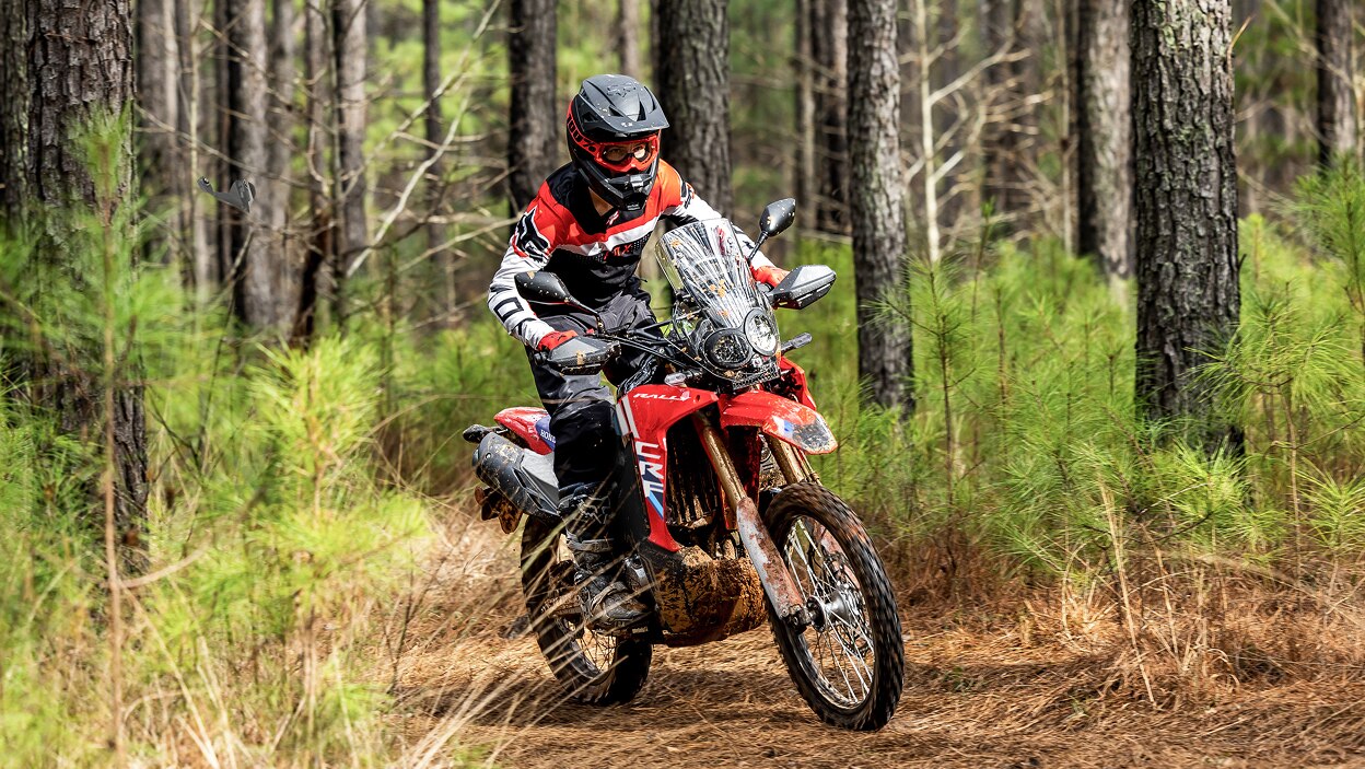 Dual Sport