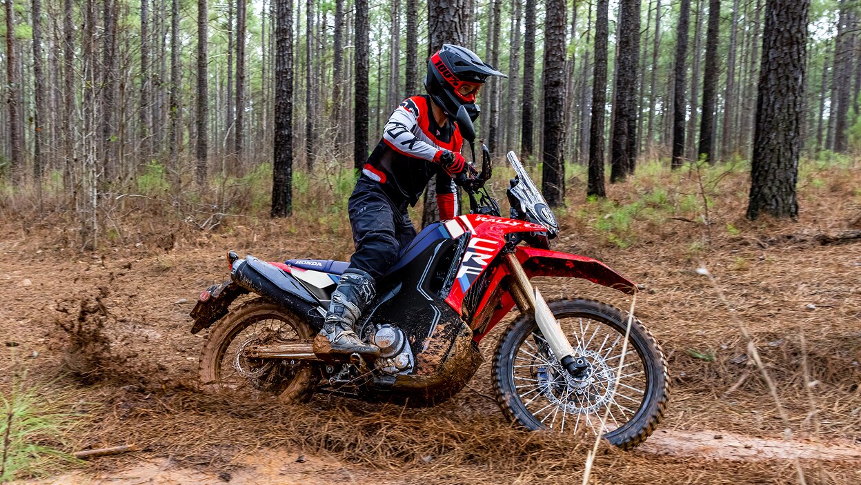 Dual Sport