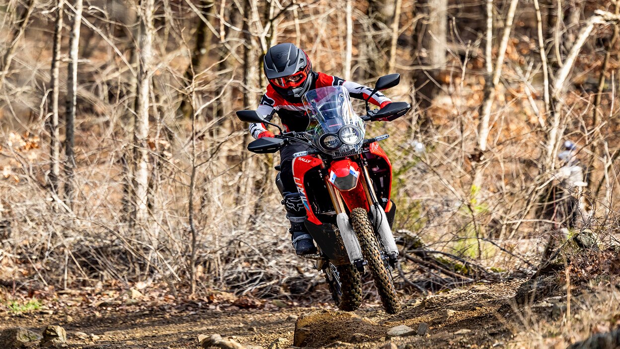 Dual Sport